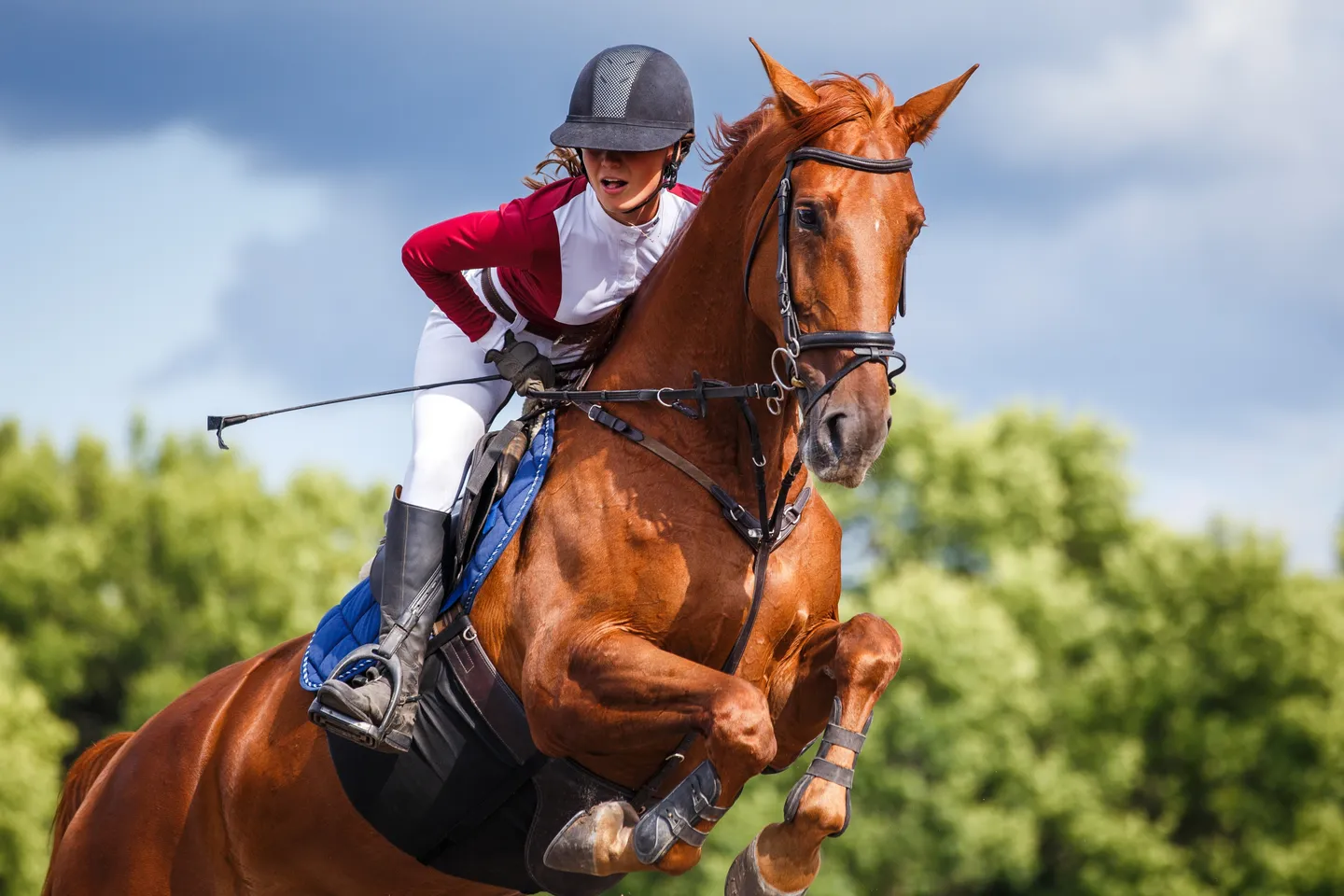 woman riding a horse in an equestrian property